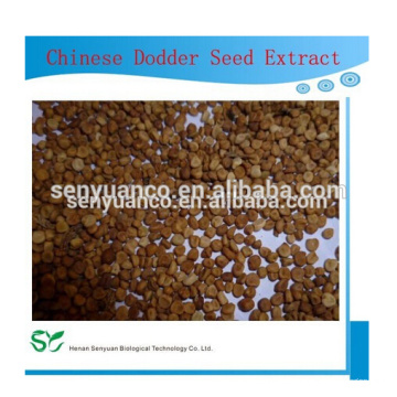 Fornecedor de fábrica de GMP chinês Dodder Seed Extract